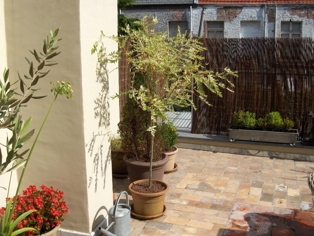 B&B De Lachende Engel Mechelen Quarto foto